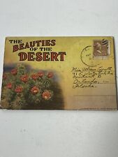 VINTAGE-POSTCARD FOLDER-THE BEAUTIES OF THE DESERT picture