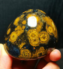 Rare 262G Natural Inner Mongolia Gobi Eye Agate Geode Collection Healing WYY1472 picture