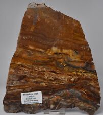 MICROBIAL MAT, Dresser Fmt, Stromatolite, North Pole Dome 691 grams, S1145 picture