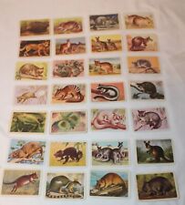 Tuckfield's Australiana Animals Series Cigarette/Tea Trading Cards 28 of 32 picture