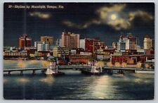 Tampa FL-Florida, Skyline By Moonlight, Antique, Vintage Postcard picture