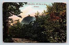 Shady Drive Mount Tom Forest Dirt Road Forest Cancel 1908 Antique PM Postcard picture