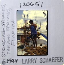 35 MM KODACHROME SLIDE, TARPON SPRINGS FLORIDA, SPONGE FISHING 1994 picture