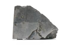 Dronino, The Ataxite Meteorite Found By A Mushroom Farmer: 17.5g picture