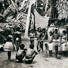 Papua New Guinea Village Stereoview 1920s Keystone Tribal Men Women Pig C1135 picture