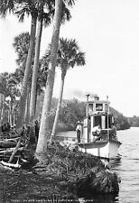 1880-1897 Wood Landing in Jupiter Narrows, Florida Old Photo 13