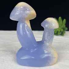 Double Blue Chalcedony Crystal Mushrooms, Nice Mushroom Carvings for Home Decor picture
