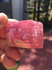 Pink Rubellite Tourmaline xl: Himalaya Mine. San Diego Co., California  480cts picture