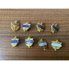 Vintage Achievement Award Pins Salutatorian English Religion Biology and More picture