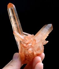 72g Natural Rare Transparent Red Skin QUARTZ Crystal Cluster Mineral  Specimens picture