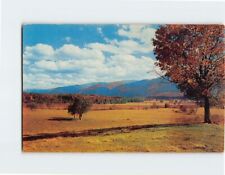 Postcard Down in Cades Cove Great Smoky Mountains National Park Tennessee USA picture