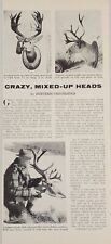 1956 Magazine Photos Game Head Mounts with Abnormal Freaky Horns,Antlers picture