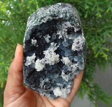Milky , Blue CHALCEDONY Coral On Matrix Minerals Specimen #F16 picture