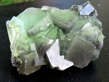 137g Natural Green Fluorite Crystal Cluster Mineral Specimen picture