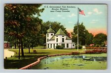 Neosho, MO-Missouri, U.S. Government Fish Hatchery, Flag, c1944 Vintage Postcard picture