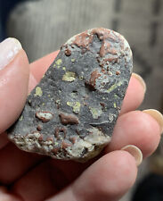 ✨Amydaloidal Basalt w/ Epidote, Volcanic Stone picture
