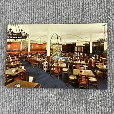 Vintage Curtichcolor Postcard Driftwood Cafeteria Saint Petersburg Florida USA picture