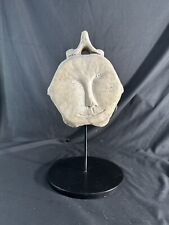 Antique Inuit Fossilized Whale Vertebrae Carving “Moon Man” picture