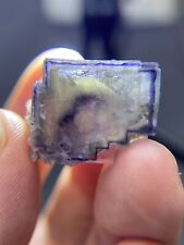 12.7g Exquisite natural blue border purple core cubic fluorite mineral crystal picture