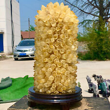 20LBTreatment of Newly Discovered Yellow Phantom Quartz Crystal Cluster Minerals picture