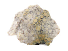 Raw Conglomerate Sedimentary Rock Specimen, 1