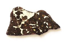 Meteorite Seymchan nice thin slice 25.0 grams, good transparent picture