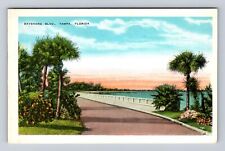 Tampa FL-Florida, Scenic View Of Bayshore Boulevard Antique, Vintage Postcard picture