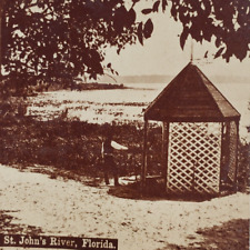 Florida St Johns River Stereoview c1880 Beach Antique Photo Wetlands Lake B1389 picture