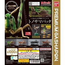 The Diversity of Life on Earth Migratory Locust Bandai Gashapon Figure set of 4 picture