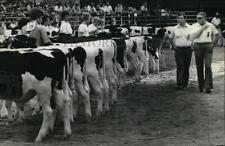 1981 Press Photo Bill Borgwardt, Gene Nelson State Fair Cattle Judges picture