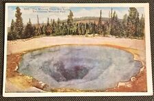 Vintage Yellowstone NP Hand Colored Postcard Morning Glory Hot Spring picture