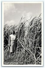 c1950's Woman In Sugar In The Sugar Cane Cline RPPC Photo Vintage Postcard picture