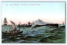 c1910 Sperm Whaling Chase Canoe Boat New Bedford Massachusetts Vintage Postcard picture