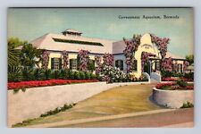 Flatts Village-Bermuda, Government Aquarium, Antique Vintage Souvenir Postcard picture
