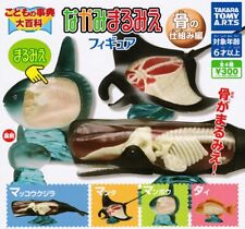 Children's Encyclopedia Nakami Marumie Figure Full Comp Gacha Gacha Toy ... picture