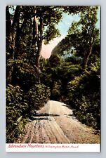 Adirondack Mountains NY-New York, Wilmington Notch Road, Vintage Postcard picture