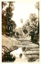 Willard RPPC Postcard 17- Water In Palm Canyon near Palm Springs CA Unposted picture