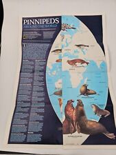 Vtg April 1987 National Geographic Pinnipeds Around The World, World Map 17 picture