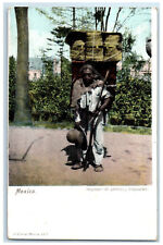 c1905 Man Selling Potato And Hompeates Mexico Posted Antique Postcard picture