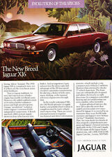 1988 Jaguar XJ6 - species - Classic Car Advertisement Print Ad J86 picture