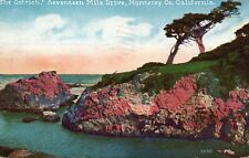 Postcard CA Monterey County The Ostrich 17 Mile Drive 1928 Vintage PC e1563 picture