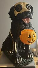 Cracker Barrel Halloween Glow In The Dark Dog Labrador Statue Figure 13x12x9 picture