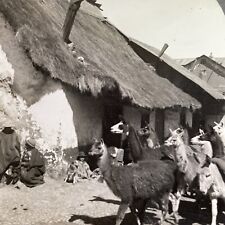 Antique 1918 Cerro De Pasco Village Andes Peru Stereoview Photo Card P1460 picture