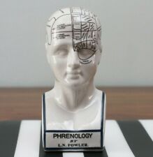 Decorative Porcelain Phrenology Head Medical Collectible Home Décor Gift Piece picture