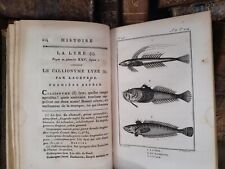 1802 BUFFON - NATURAL HISTORY OF FISHES With Engravings picture