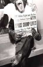 Picture Photo 1961 Chimp holding newspaper about himself 6x4in 7293 picture