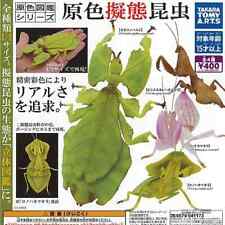 Capsule toy Primary color mimicry insects Mantis Real Mini Figure  4 types Set picture