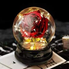 Enchanted Red Silk Rose Gifts - Beauty & The Beast Rose Petals in LED Light Dome picture