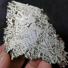 100g Beautiful Iron meteorite-Muonionalusta meteorite part slice  A1476 picture