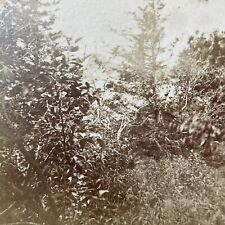 Antique 1870s Mount Monadnock Near Diana's Peak Stereoview Photo Card V2108 picture